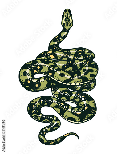 Snake in Vintage style. Serpent cobra or python or poisonous viper. Engraved hand drawn old reptile sketch for Tattoo. Anaconda for sticker or logo or t-shirts.