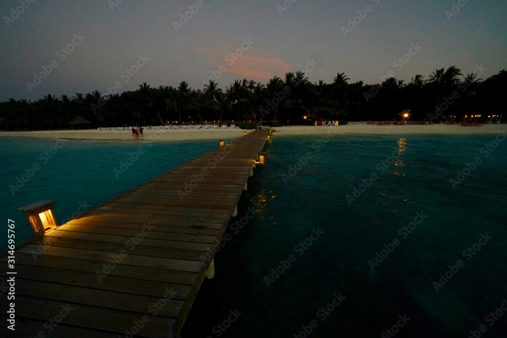 Obraz premium Kani 2018