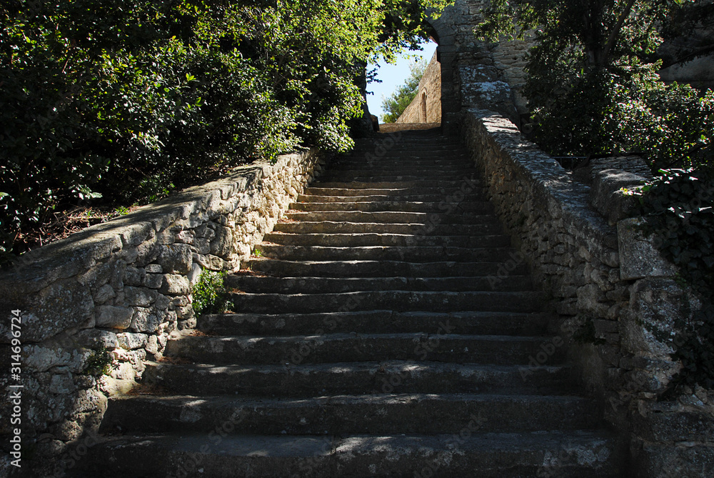 Stairway to heaven leading through beautiful green trees.