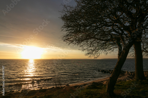scenic sunrise by the Baltic Sea coast