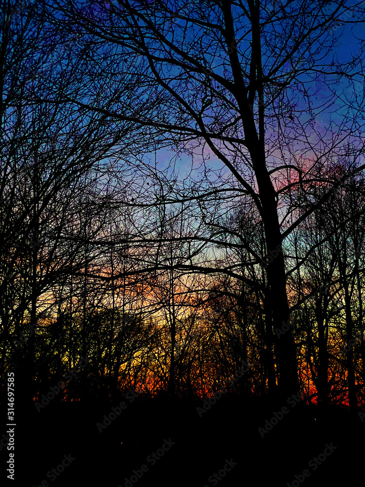 Rainbow sunset through the trees, January 2020, Gaithersburg, MD
