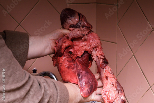 Composition of pork, liver, pig, lung, pork, trachea, heart, pork in the market.