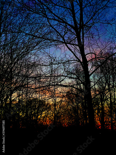 Rainbow sunset through the trees, January 2020, Gaithersburg, MD