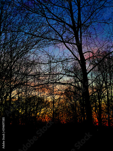 Rainbow sunset through the trees  January 2020  Gaithersburg  MD