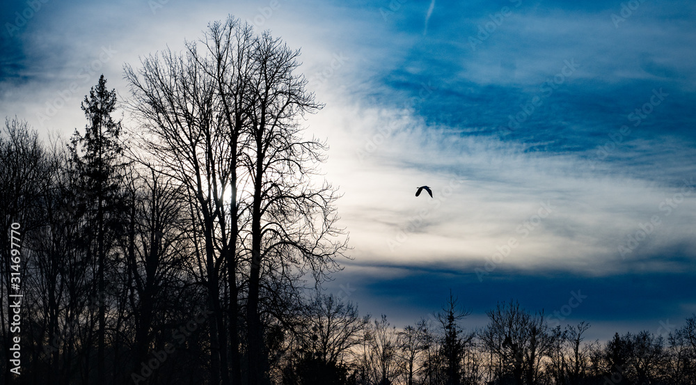 Fototapeta premium Ciel et vol d'oiseau