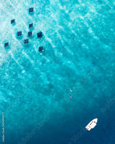 mantas in the ocean Maldives