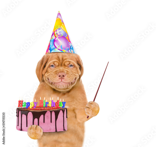 Smiling puppy wearing a party hat holds cake and points away on empty space. isolated on white background