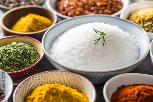 Fototapeta Naklejka Na Ścianę i Meble -  Salt and variety spices and herbs in bowls
