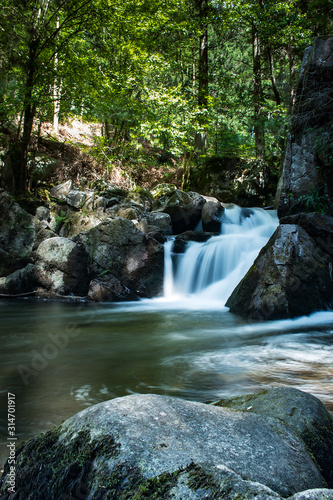 waterfall in forest