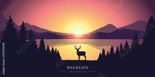 wildlife adventure elk in the wilderness by the lake at sunset vector illustration EPS10 © krissikunterbunt