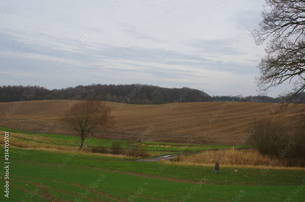 Gletschergestaltetes Gelände in Neuwühren