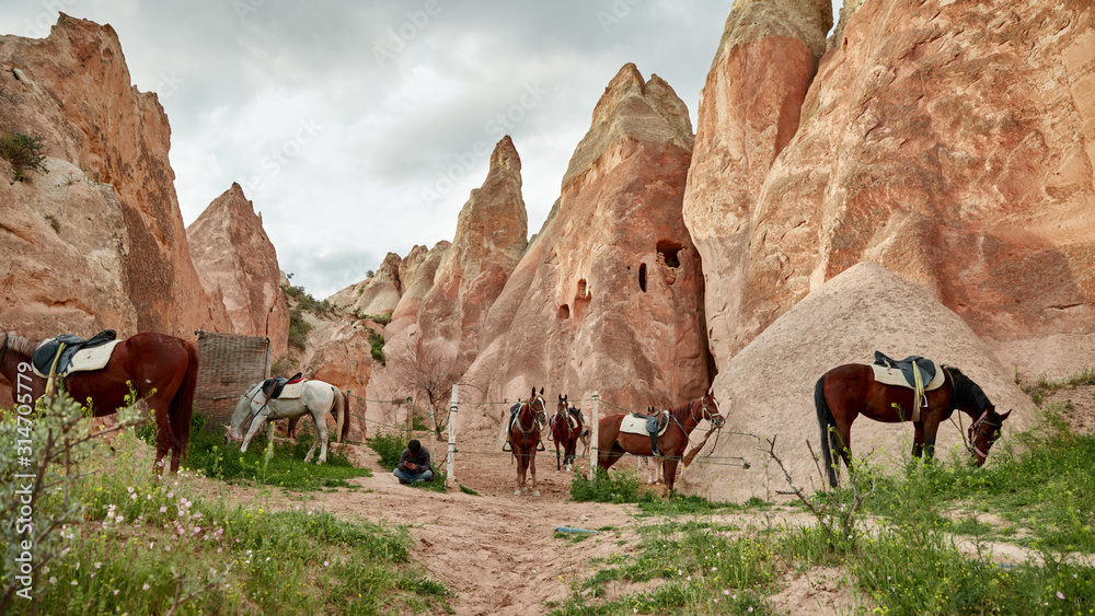 Meskendir Valley, Pink Valley. Cappadocia, Turkey Meskendir Valley, Pink Valley. Cappadocia, Turkey
