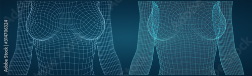 set of vector 3d female bodies, thin line style