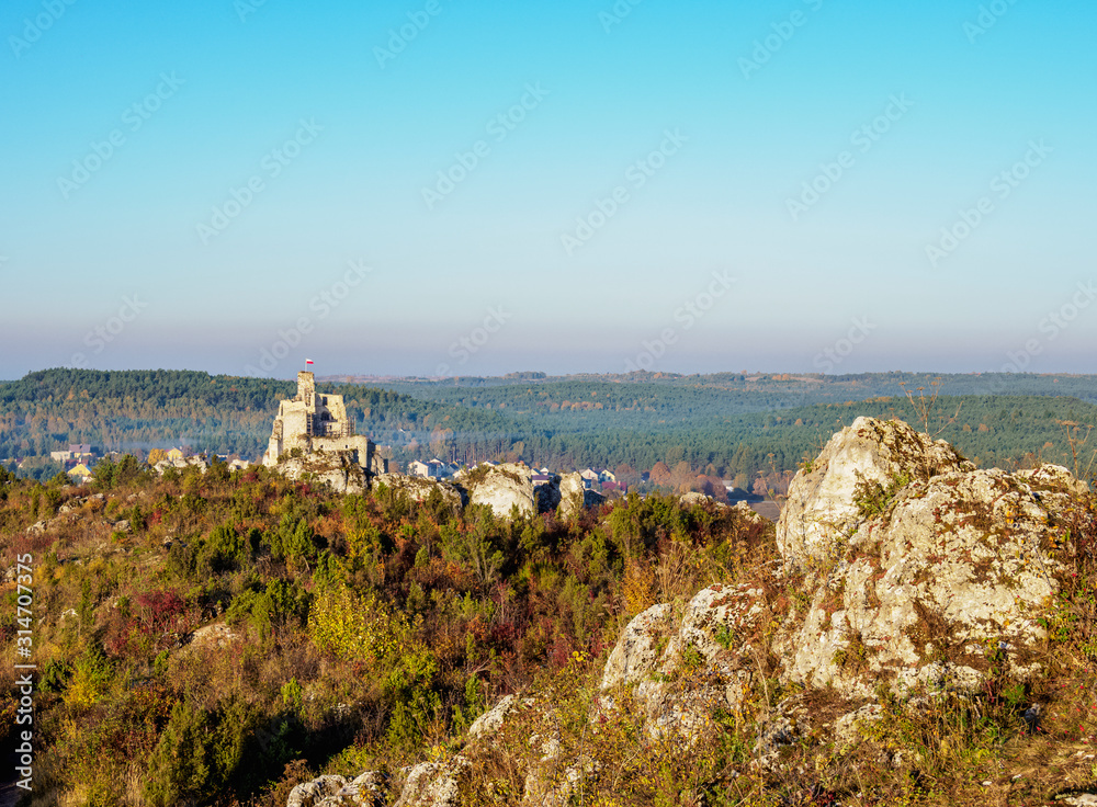 View over Mirow Rocks towards Mirow Castle Ruins, Trail of the Eagles' Nests, Krakow-Czestochowa Upland or Polish Jurassic Highland, Silesian Voivodeship, Poland