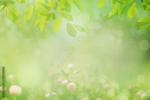 Blurred nature spring background, green tree leaves frame