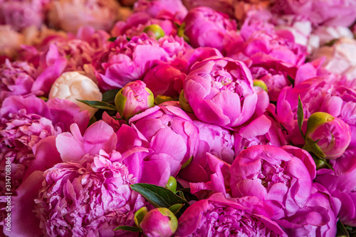 Fototapeta Naklejka Na Ścianę i Meble -  A full frame photograph of pretty pink peonies for sale on a market stall, with a shallow depth of field