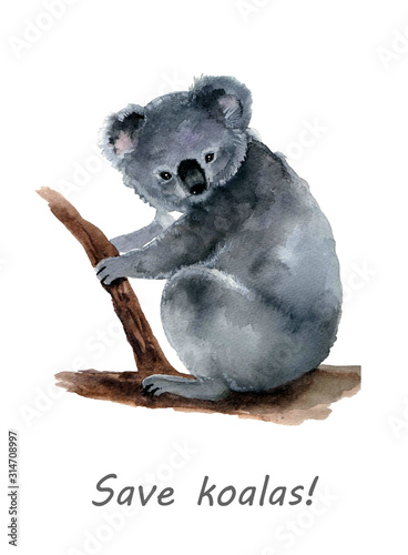 Sticker Watercolor cute koala