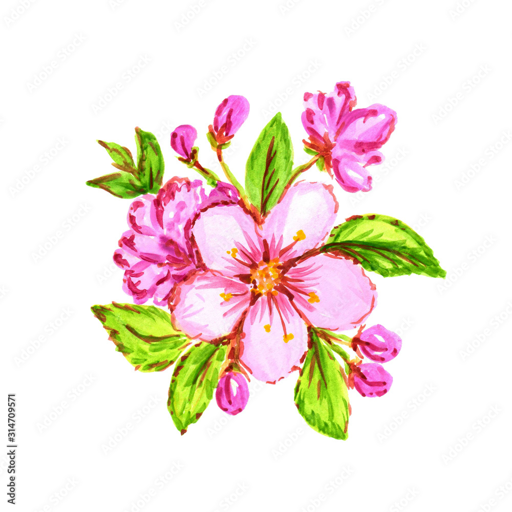 Hand drawn Watercolor tender spring floral illustration . Seasonal sakura blossom, cherry tree, pink light petals, buds, green leaves, branch, flowers. For the design of card, album, invitation,Hanami