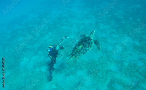 Taucher begegnet einer Meeresschildkröte 