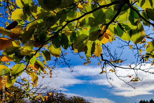 autumn in Italy