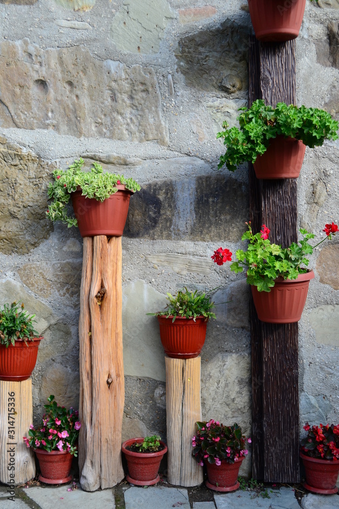 Street flowers in pots near the wall.