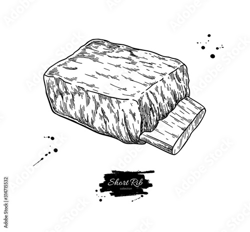 Short rib vector drawing. Beef, pork or lamb meat hand drawn sketch. Engraved food illustration.