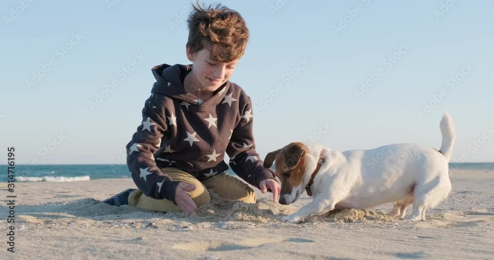 Happy, smiling boy plays ball his dog breed Jack Russell Terrier on the sandy shore of sea and blue sky, sunset. Child and dog bury and dig ball in sand. Pet for a walk. Family weekend. Lifestyle