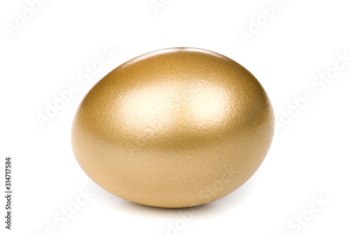 financial Golden Egg