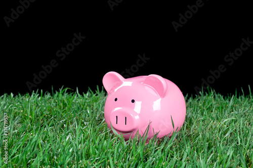 Piggy bank in grass at night
