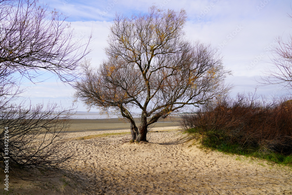 access to sand beach Saint-Brice in andernos les bains In Arcachon bay France access to sand beach Saint-Brice in andernos les bains In Arcachon bay France