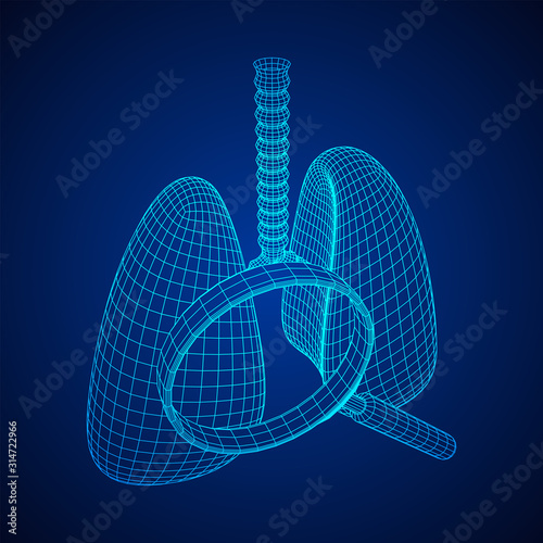 Lungs with trachea bronchi internal organ human with magnifying glass. Pulmonology medicine science analysis concept. Wireframe low poly mesh vector illustration