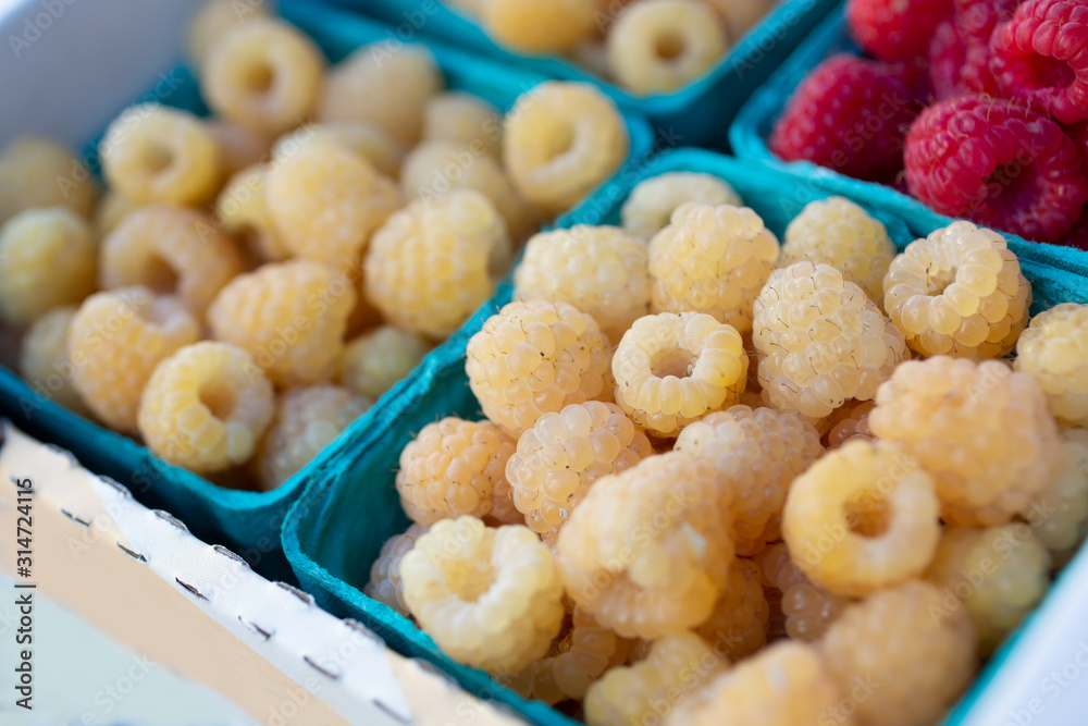 A closeup look at a several containers of white raspberries on display at a local farmers market. A closeup look at a several containers of white raspberries on display at a local farmers market.