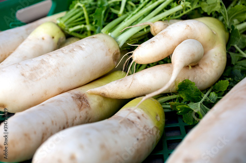 A closeup view of several daikon radish vegetables on display at a local farmers market.
