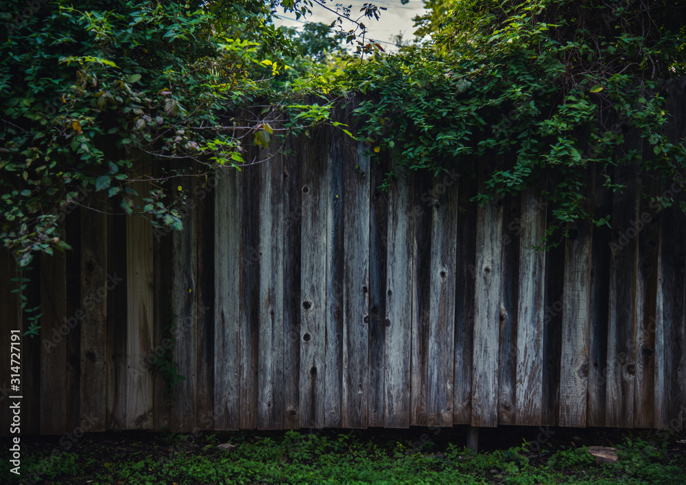 mysterious wooden fence in the forest mysterious wooden fence in the forest