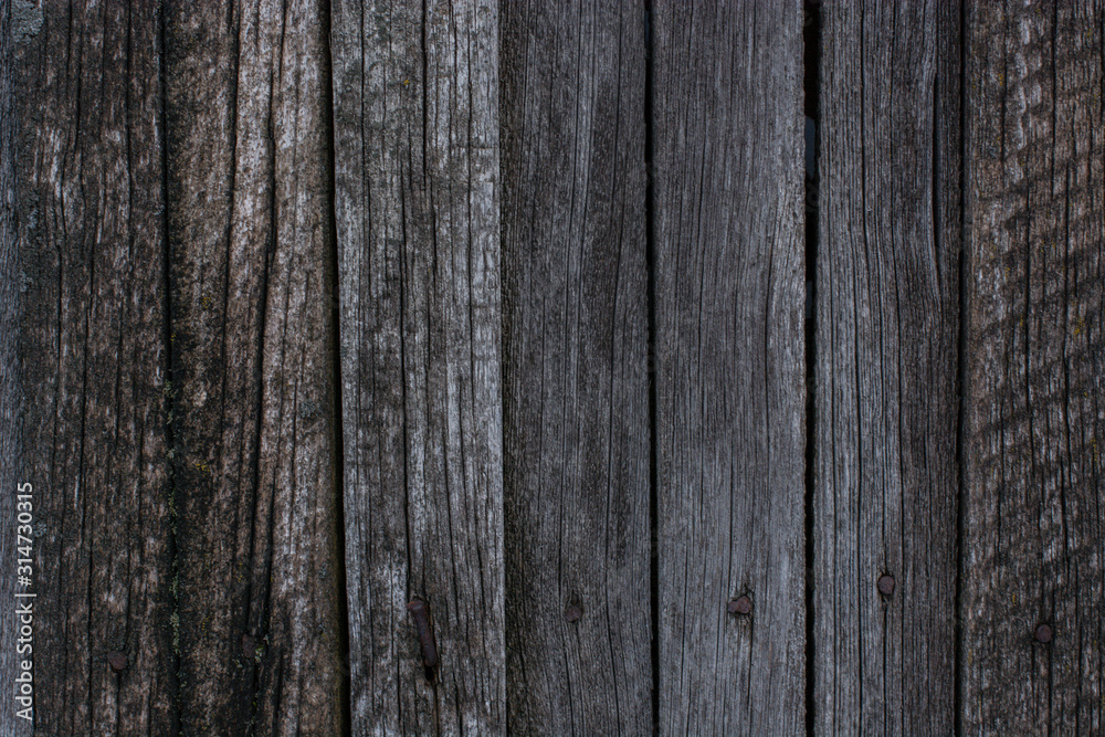 texture of gray rotten wooden boards with rusty nails and cracks texture of gray rotten wooden boards with rusty nails and cracks