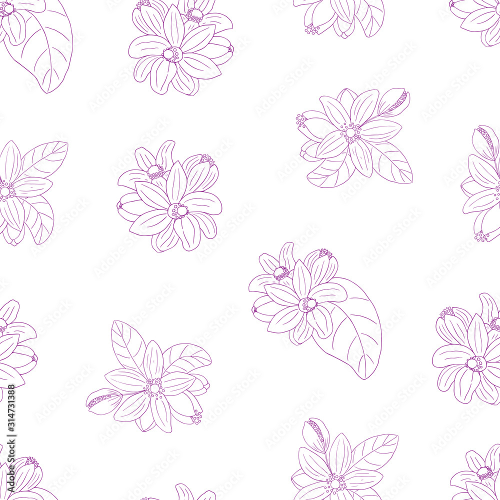 Herbs, spices and seasonings collection. Vector hand drawn seamless pattern with flowers of Citrus Bergamia on a white background