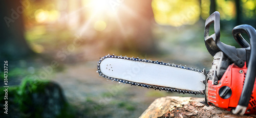 Woodcutter sawing chain detail. Chainsaw on rustic stump in sunset forest light. Chain saw panorama or wide banner. Copy space concept.