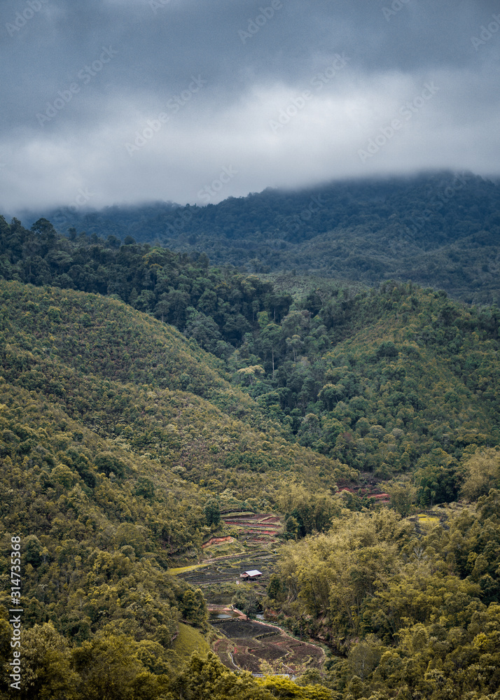 Fototapeta premium view of mountains