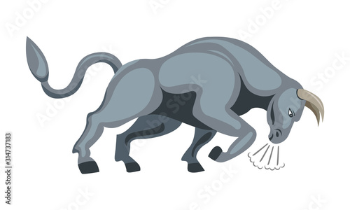 charging angry bull isolated vector