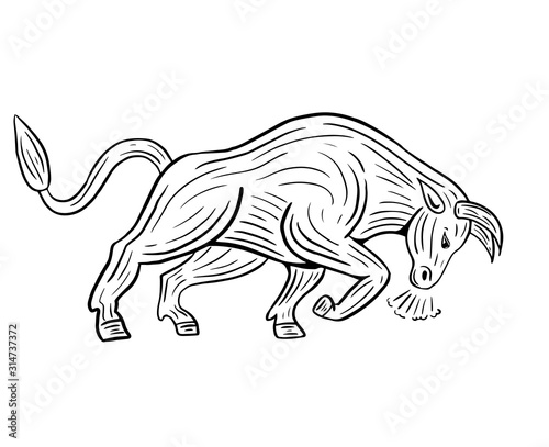 hand drawn angry charging bull isolated vector
