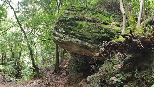 Roca del bosque