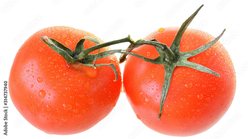 Two tomato on branch top view isolated Two tomato on branch top view isolated