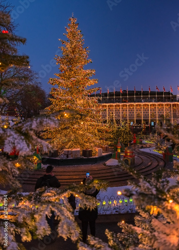 Denmark - Christmas Tree All Lit Up - Copenhagen