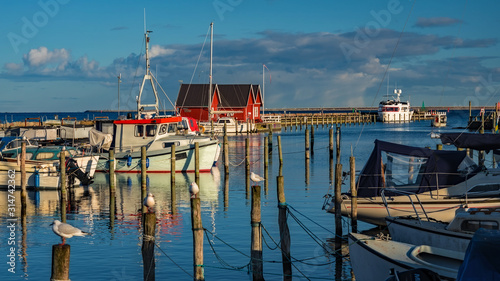 Denmark - Fishing Huts with Boats in Harbor - Dragor
