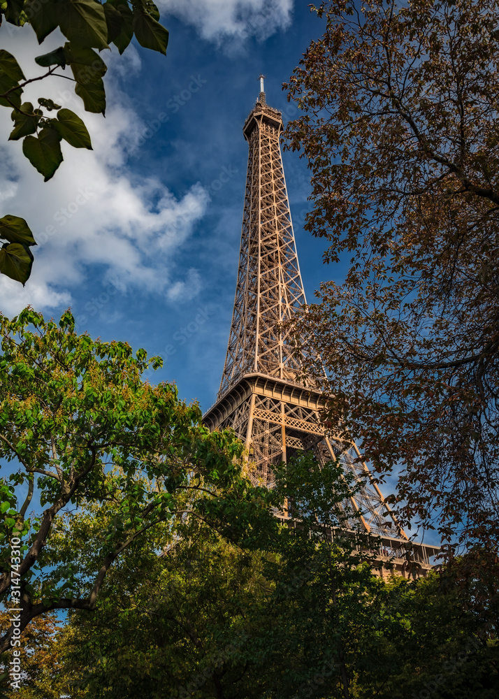 France - Eiffel Tower Through the Trees - Paris