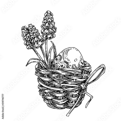 Wicker basket with Easter egg and Muscari flowers. Sketch. Engraving style. Vector illustration.