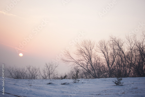 the red sun sets in a gray-pink haze. winter pastel landscape. honey sunset