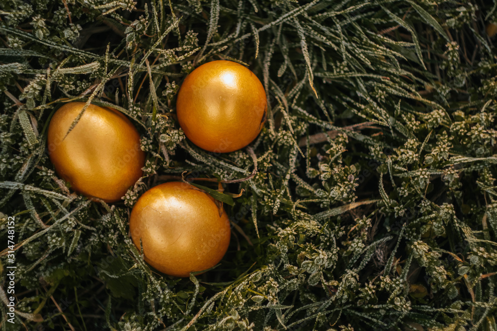 Top view Golden eggs on spring grass at sunny day. Easter wallpaper copy space. Sun rays fall on meadow. Celebrating spring holidays. Nature holiday background. frozen grass. Top view Golden eggs on spring grass at sunny day. Easter wallpaper copy space. Sun rays fall on meadow. Celebrating spring holidays. Nature holiday background. frozen grass.