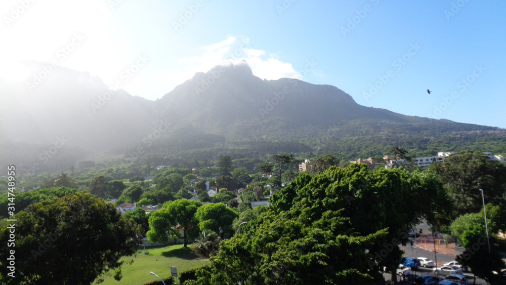 view to the mountain in cape town