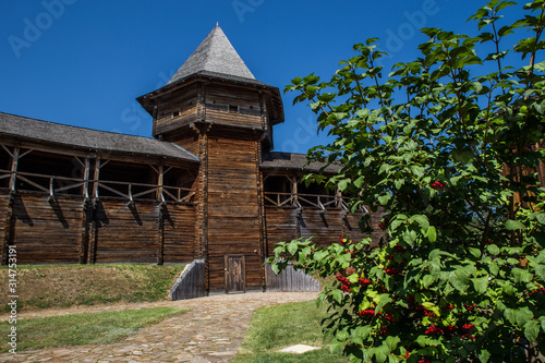 Wooden fortress wall and guelder rose inside Citadel of Baturin Fortress, Ukraine